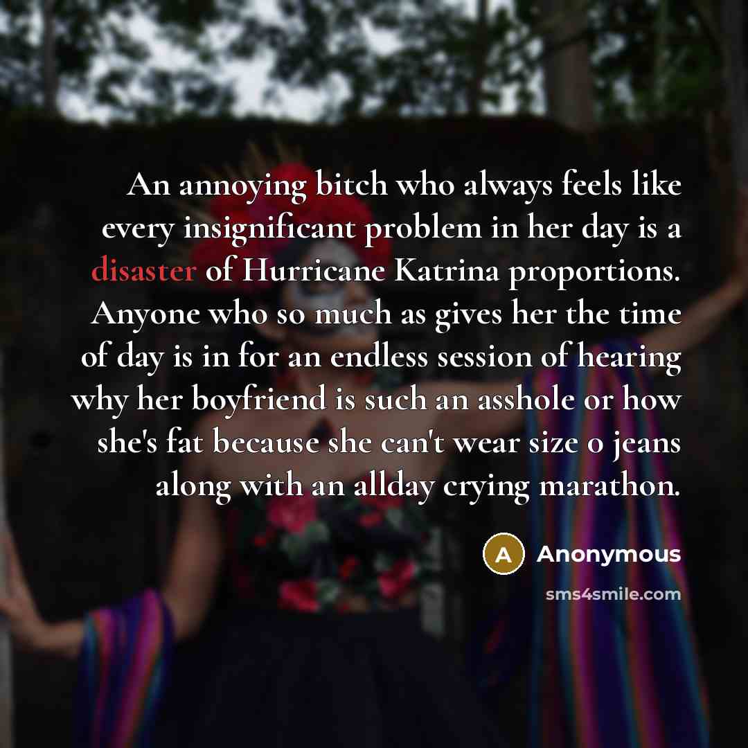“An annoying bitch who always feels like every insignificant problem…” quote by Anonymous
