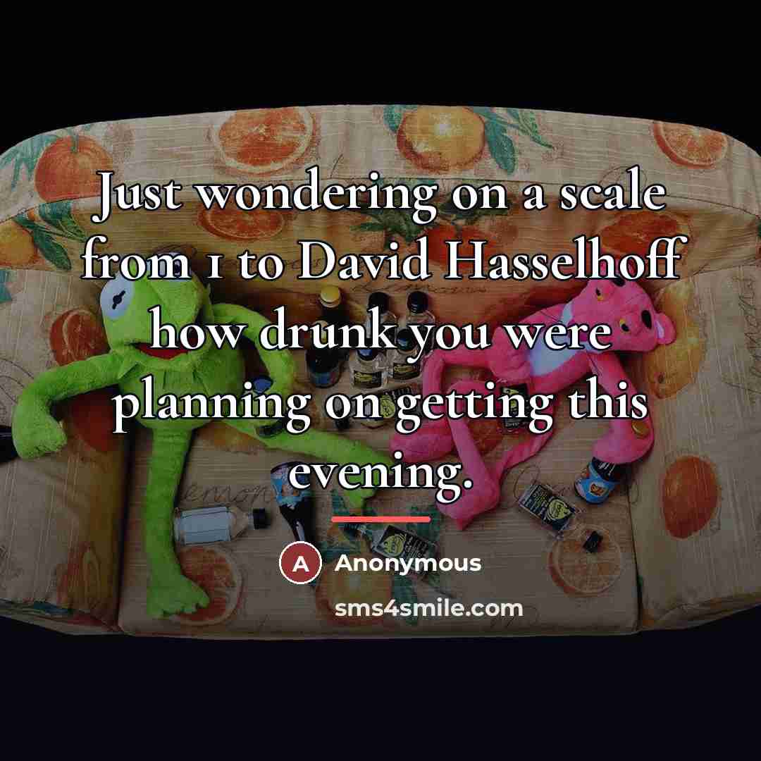 “Just wondering on a scale from 1 to David Hasselhoff…” quote by Anonymous