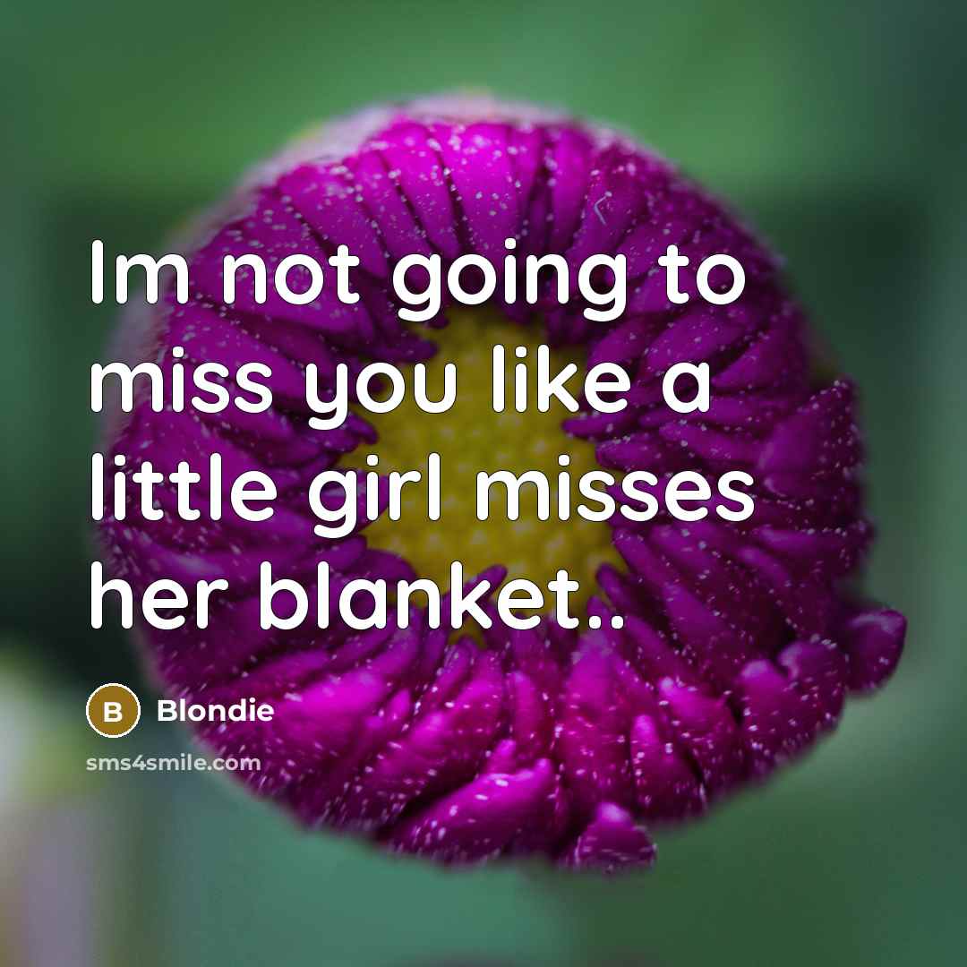“Im not going to miss you like a little girl misses her blanket..” quote by Blondie