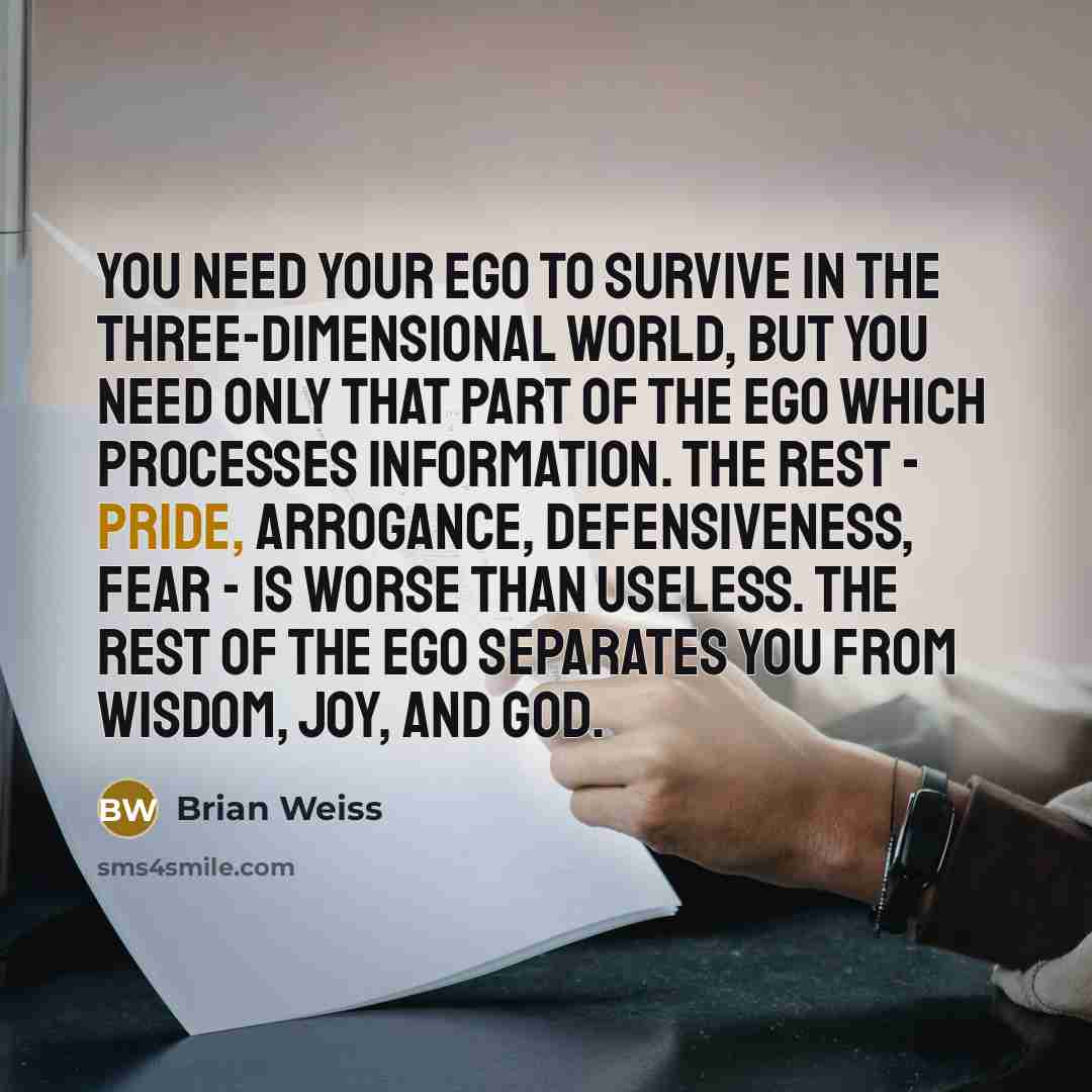 “You need your ego to survive in the three-dimensional world,…” quote by Brian Weiss