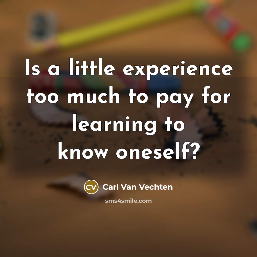 “Is a little experience too much to pay for learning…” quote by Carl Van Vechten