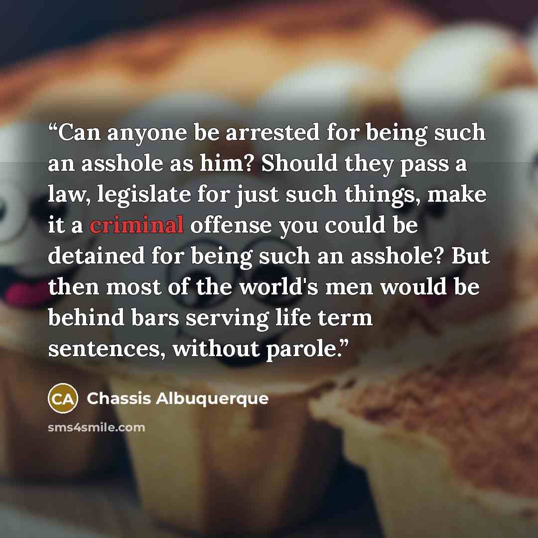“Can anyone be arrested for being such an asshole as him? Should they pass a law, legislate for just such things, make it a criminal offense you could be detained for being such an asshole? But then most of the world's men would be behind bars serving life term sentences, without parole.” quote by Chassis Albuquerque