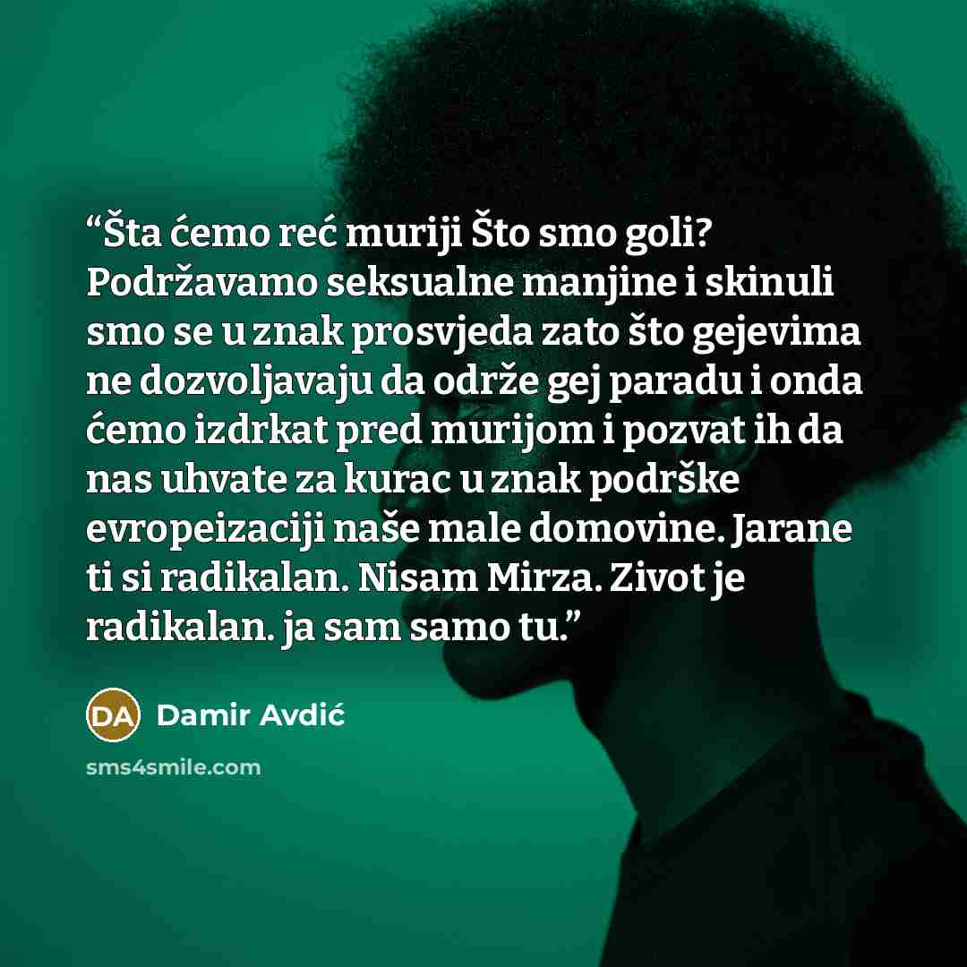 “Šta ćemo reć muriji Što smo goli? Podržavamo seksualne manjine i skinuli smo se u znak prosvjeda zato što gejevima ne dozvoljavaju da održe gej paradu i onda ćemo izdrkat pred murijom i pozvat ih da nas uhvate za kurac u znak podrške evropeizaciji naše male domovine. Jarane ti si radikalan. Nisam…” quote by Damir Avdić