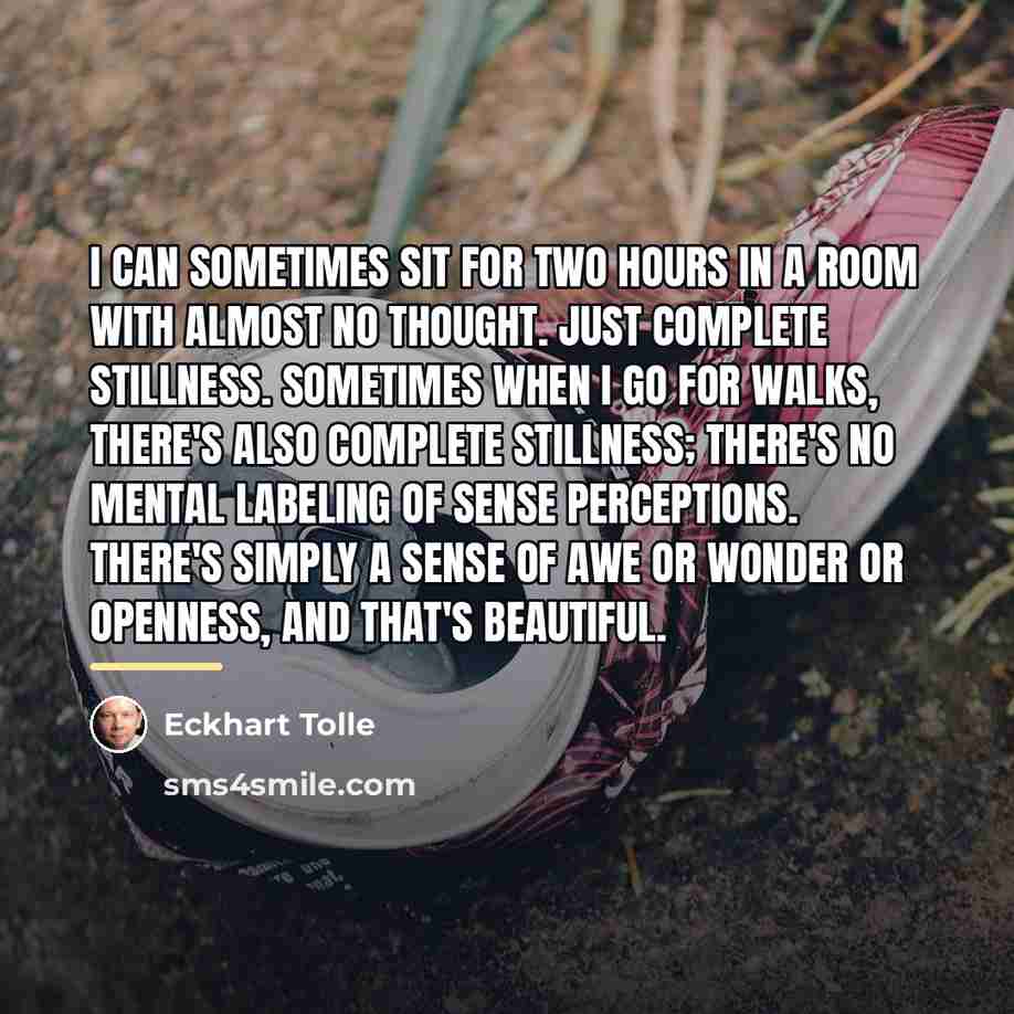 “I can sometimes sit for two hours in a room…” quote by Eckhart Tolle