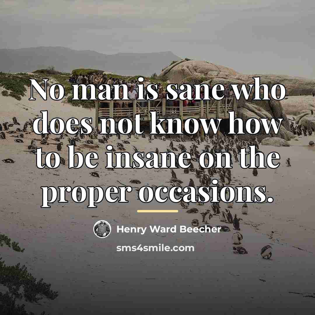 “No man is sane who does not know how to…” quote by Henry Ward Beecher