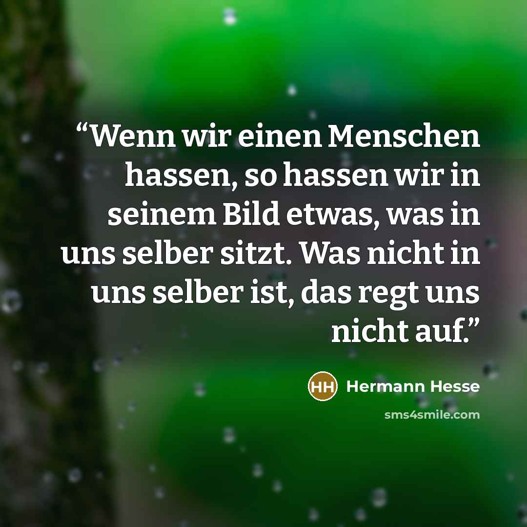 “Wenn wir einen Menschen hassen, so hassen wir in seinem Bild etwas, was in uns selber sitzt. Was nicht in uns selber ist, das regt uns nicht auf.” quote by Hermann Hesse