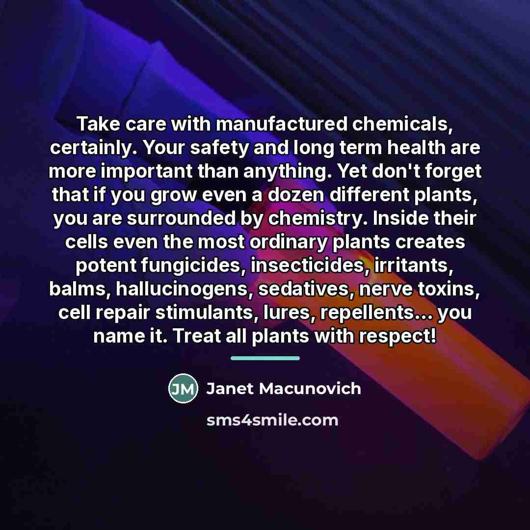 “Take care with manufactured chemicals, certainly. Your safety and long…” quote by Janet Macunovich