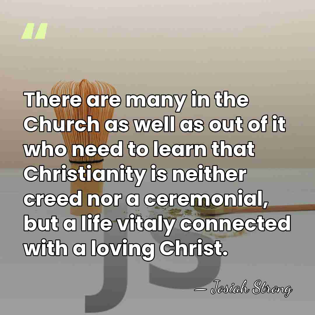 There are many in the Church as well as out of it&hellip; - Josiah Strong