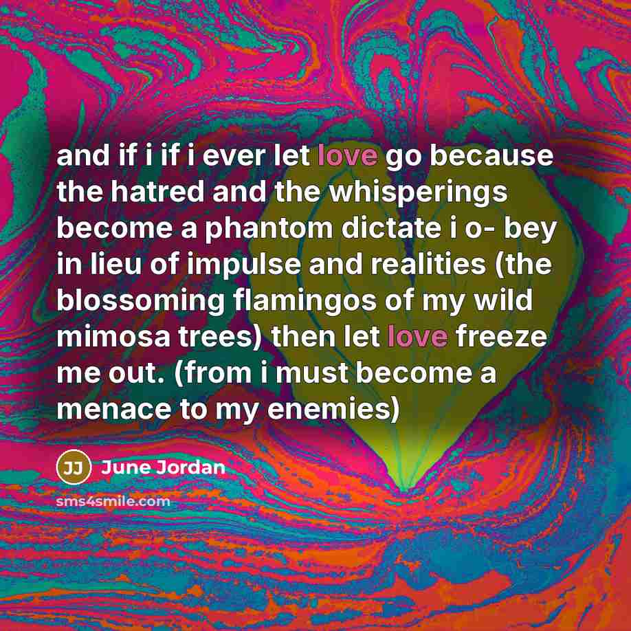 “and if i if i ever let love go because…” quote by June Jordan