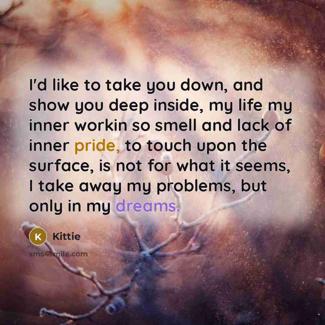 “I'd like to take you down, and show you deep inside, my life my inner workin so smell and lack of inner pride, to touch upon the surface, is not for what it seems, I take away my problems, but only in my dreams.” quote by Kittie