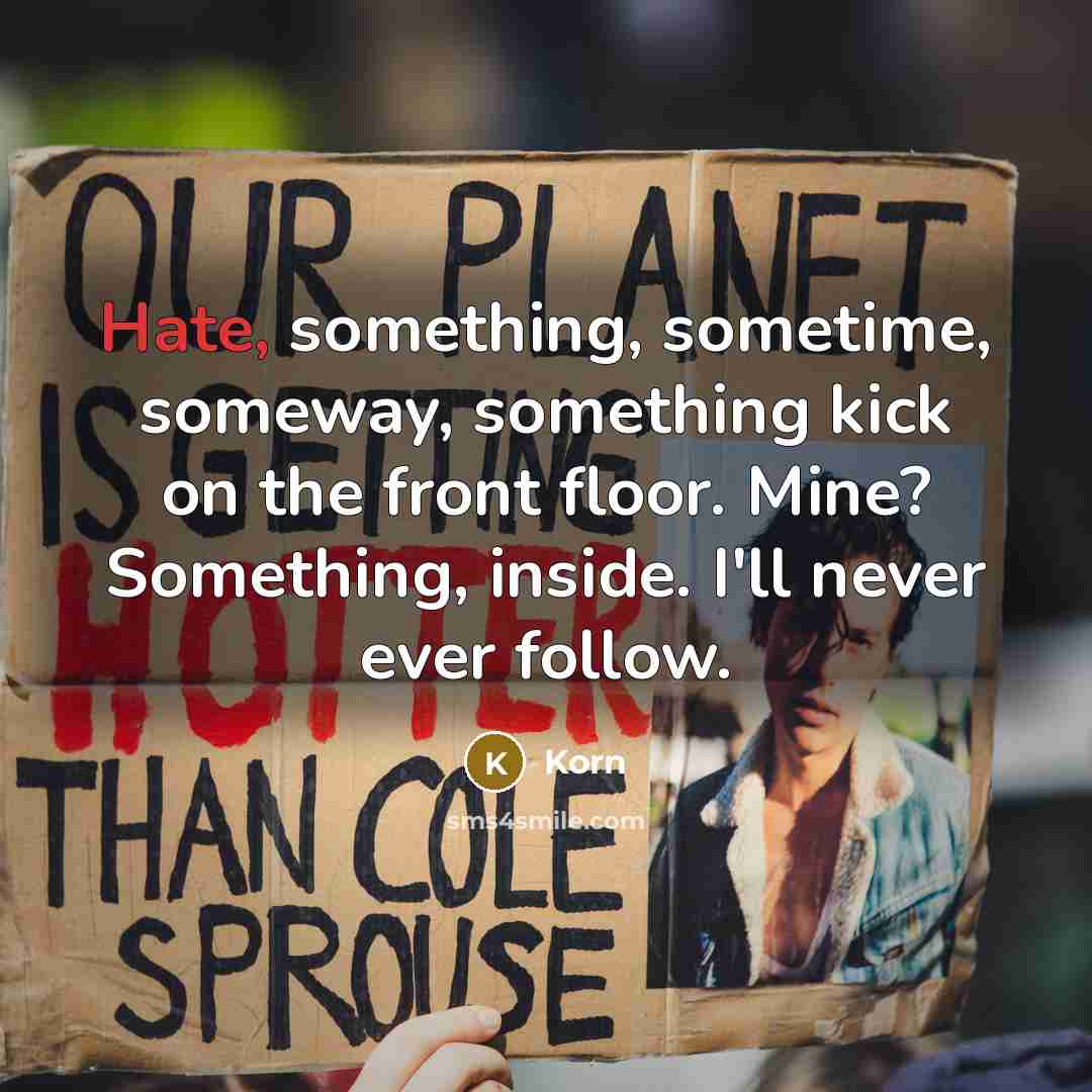 “Hate, something, sometime, someway, something kick on the front floor. Mine? Something, inside. I'll never ever follow.” quote by Korn