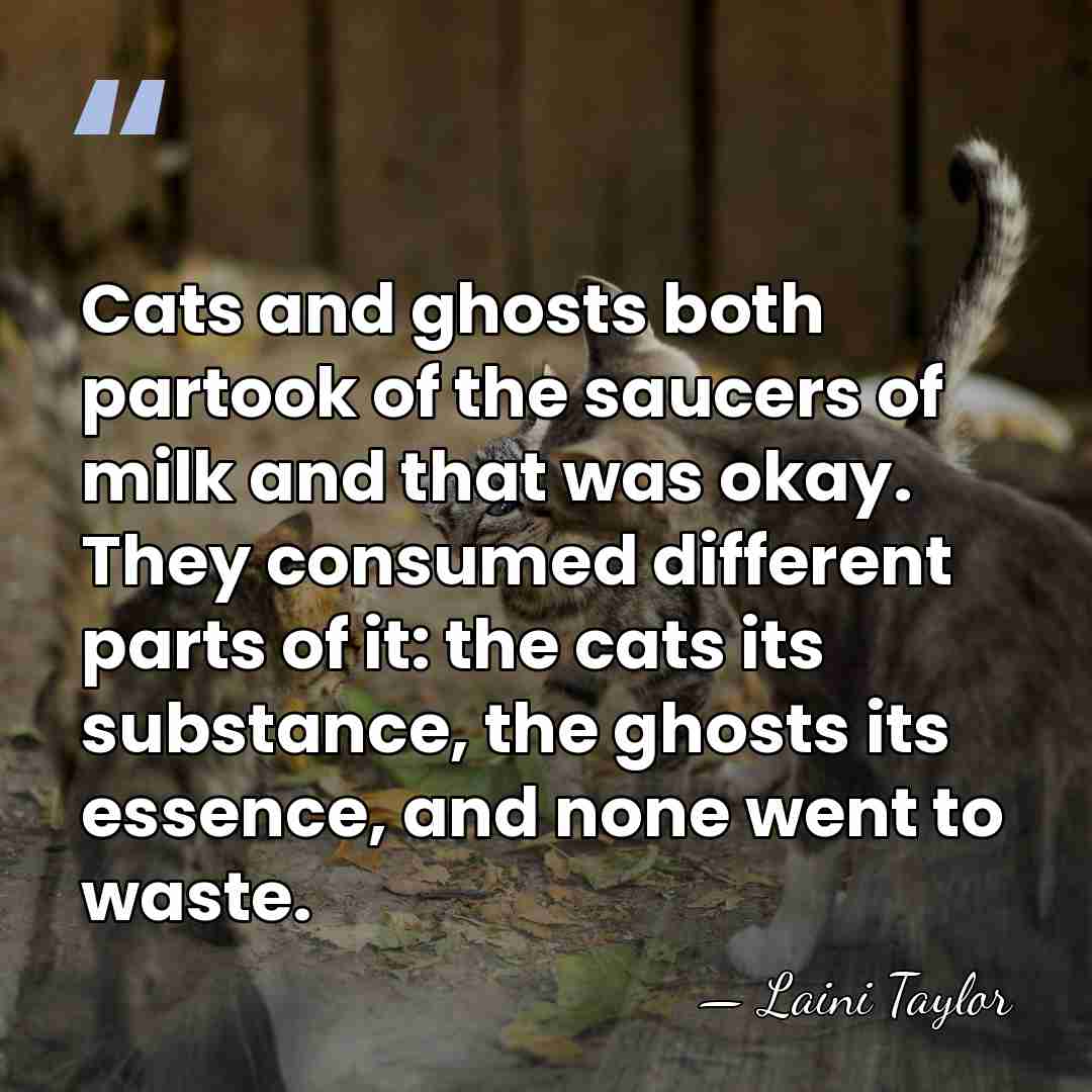 Cats and ghosts both partook of the saucers of milk and that&hellip; - Laini Taylor