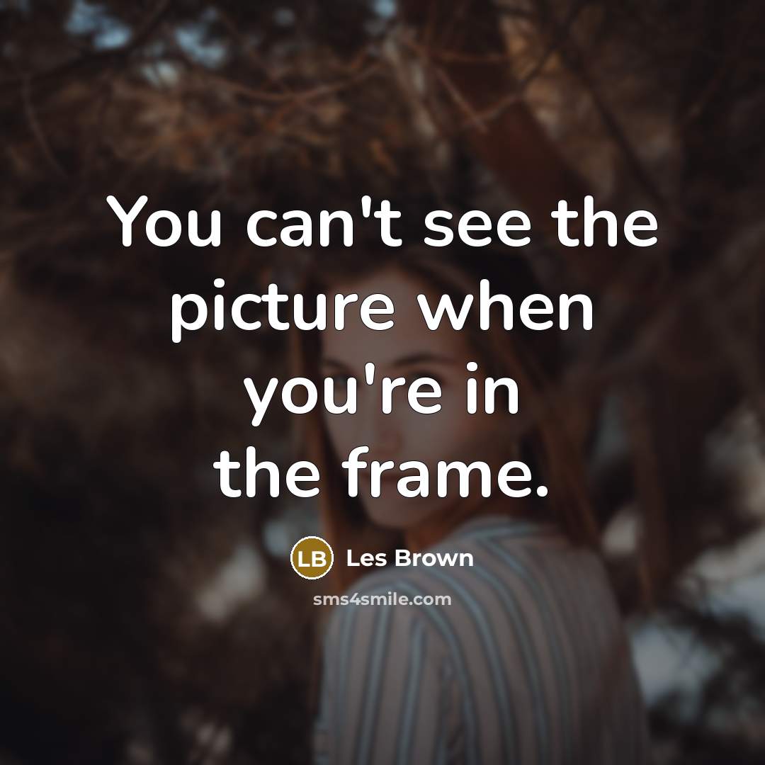 “You can't see the picture when you're in the frame.” quote by Les Brown