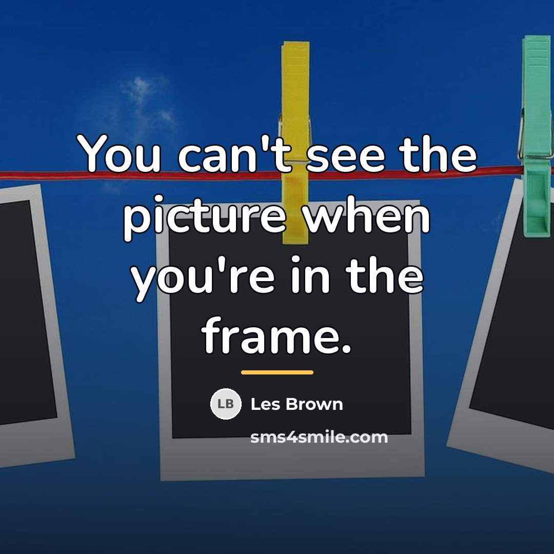 “You can't see the picture when you're in the frame.…” quote by Les Brown