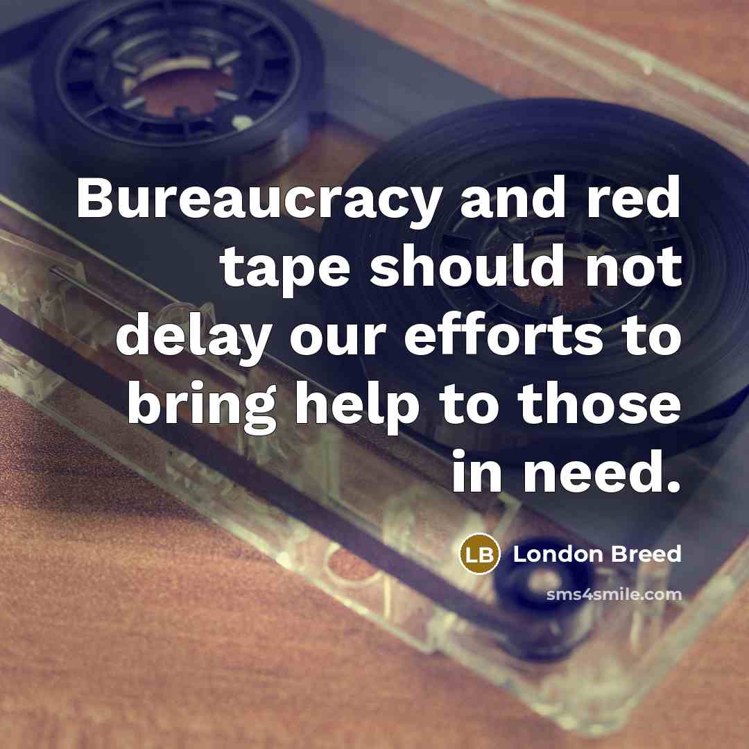 “Bureaucracy and red tape should not delay our efforts to…” quote by London Breed