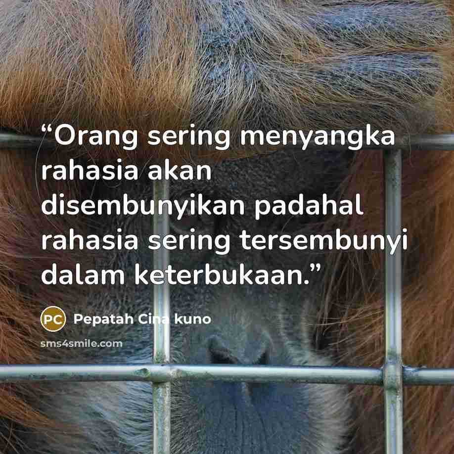 “Orang sering menyangka rahasia akan disembunyikan padahal rahasia sering tersembunyi dalam keterbukaan.” quote by Pepatah Cina kuno