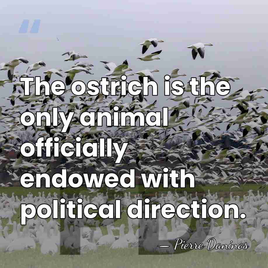 The ostrich is the only animal officially endowed with political direction. - Pierre Daninos