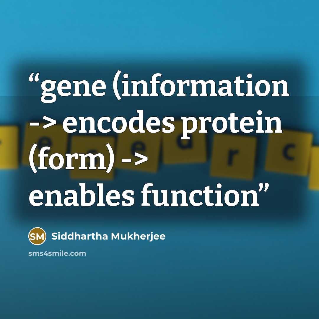 “gene (information -> encodes protein (form) -> enables function” quote by Siddhartha Mukherjee