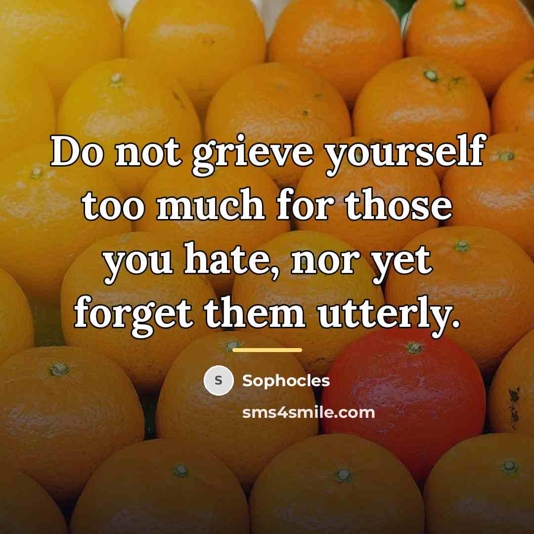“Do not grieve yourself too much for those you hate,…” quote by Sophocles