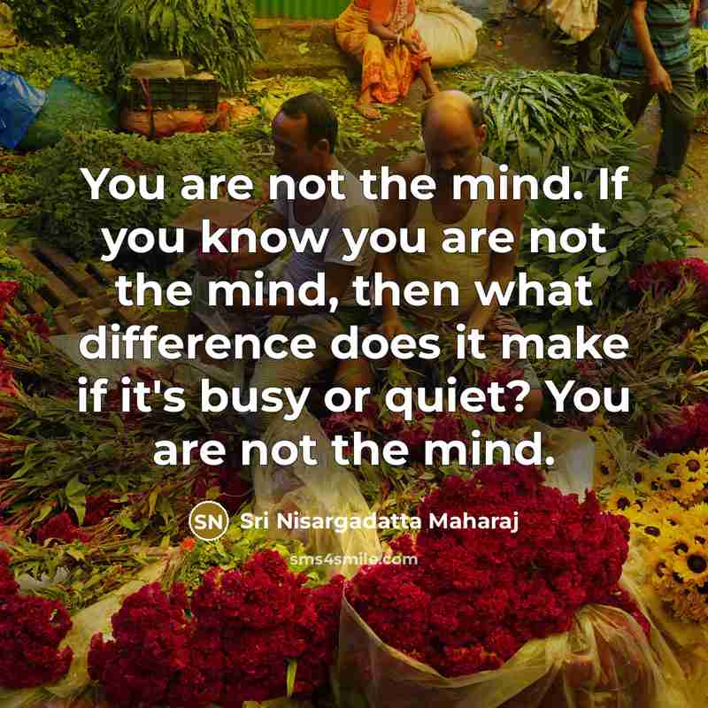 “You are not the mind. If you know you are…” quote by Sri Nisargadatta Maharaj