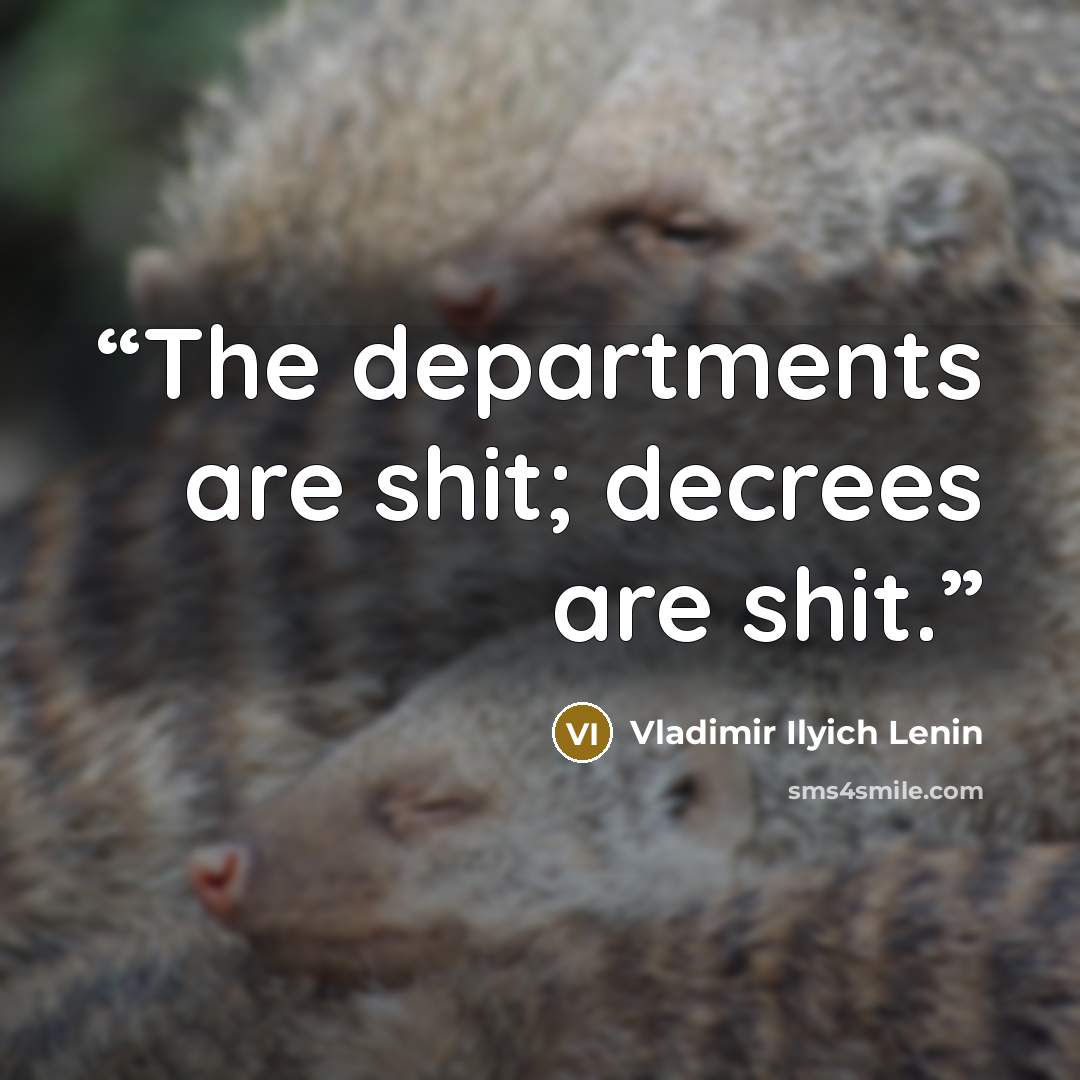 “The departments are shit; decrees are shit.” quote by Vladimir Ilyich Lenin
