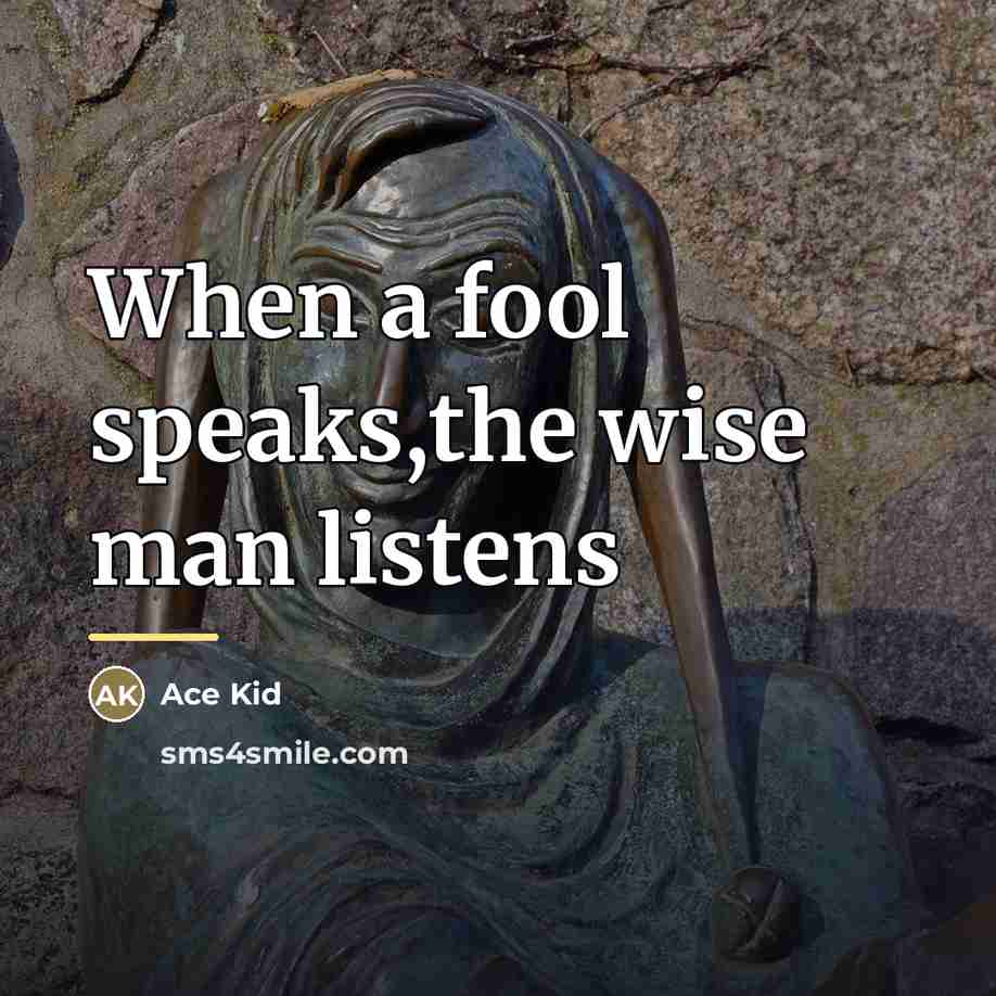 “When a fool speaks,the wise man listens…” quote by Ace Kid