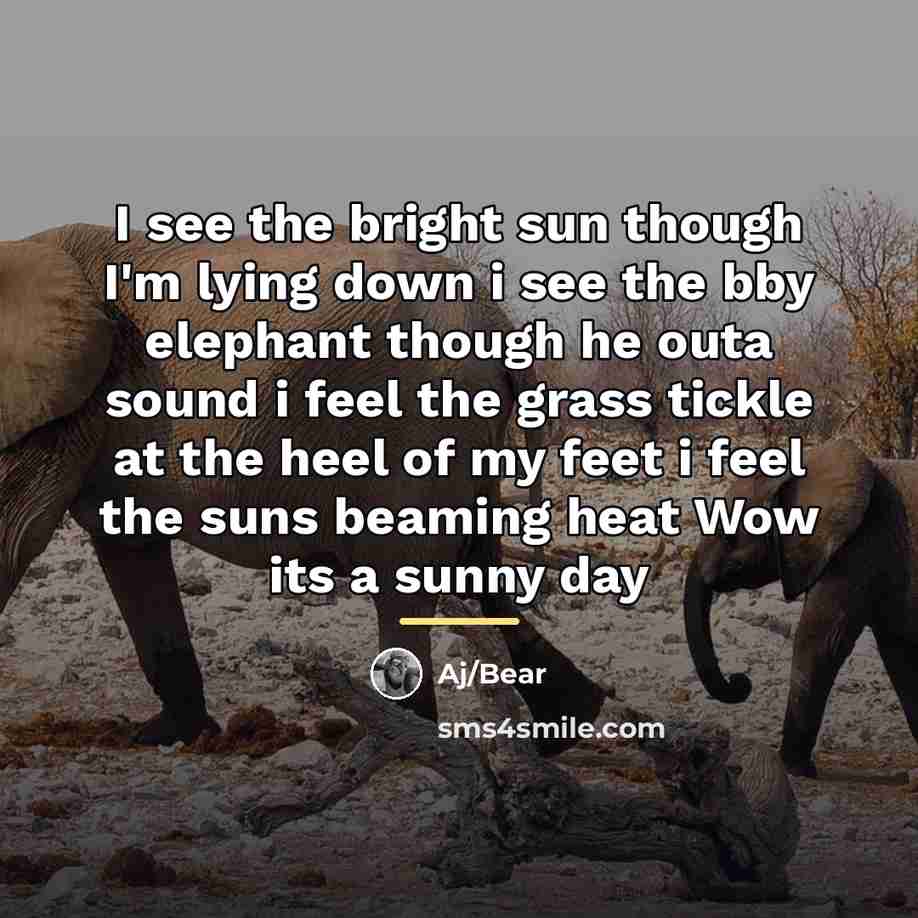 “I see the bright sun though I'm lying down i…” quote by Aj/Bear