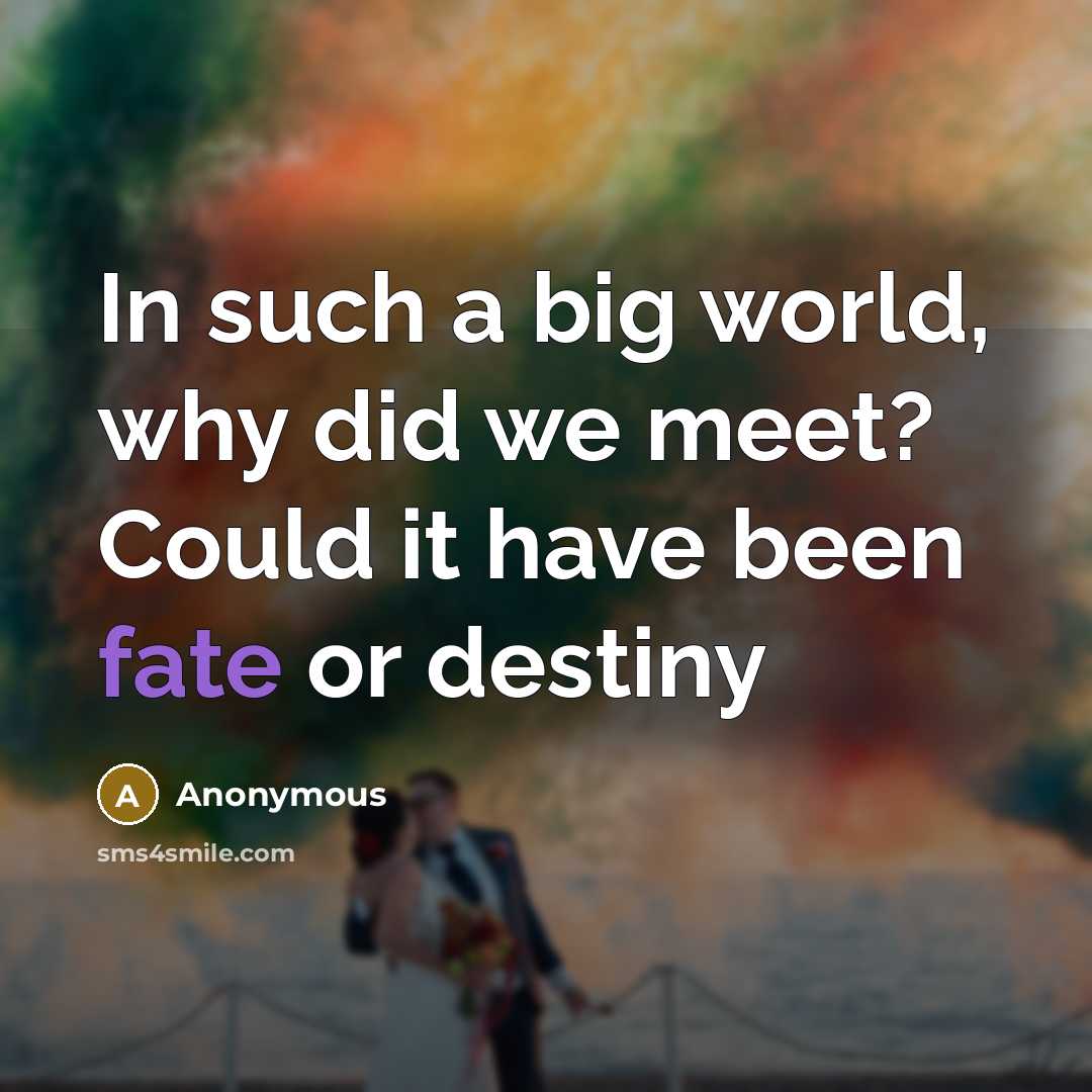 “In such a big world, why did we meet? Could…” quote by Anonymous