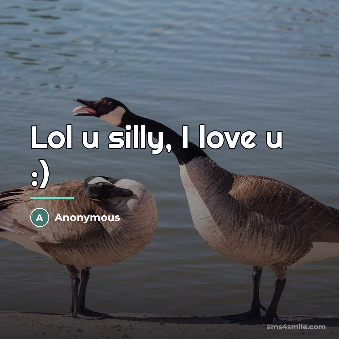 “Lol u silly, I love u :)…” quote by Anonymous