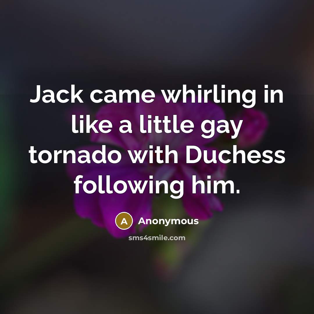 “Jack came whirling in like a little gay tornado with…” quote by Anonymous