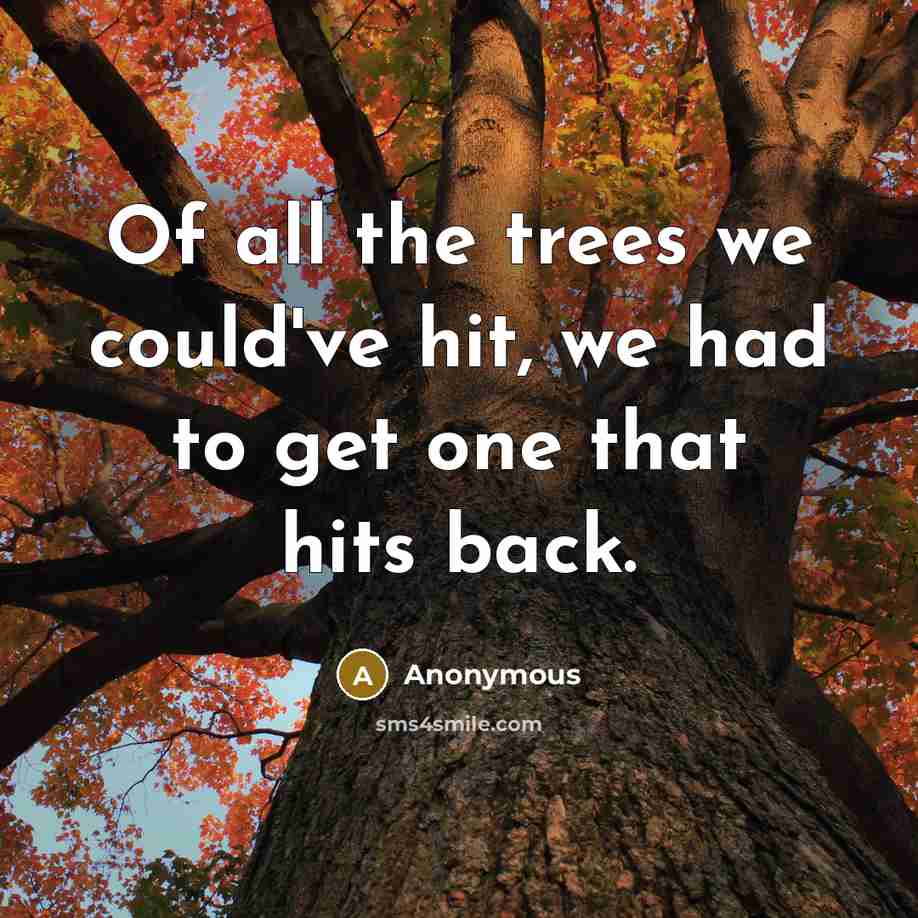 “Of all the trees we could've hit, we had to get one that hits back.” quote by Anonymous