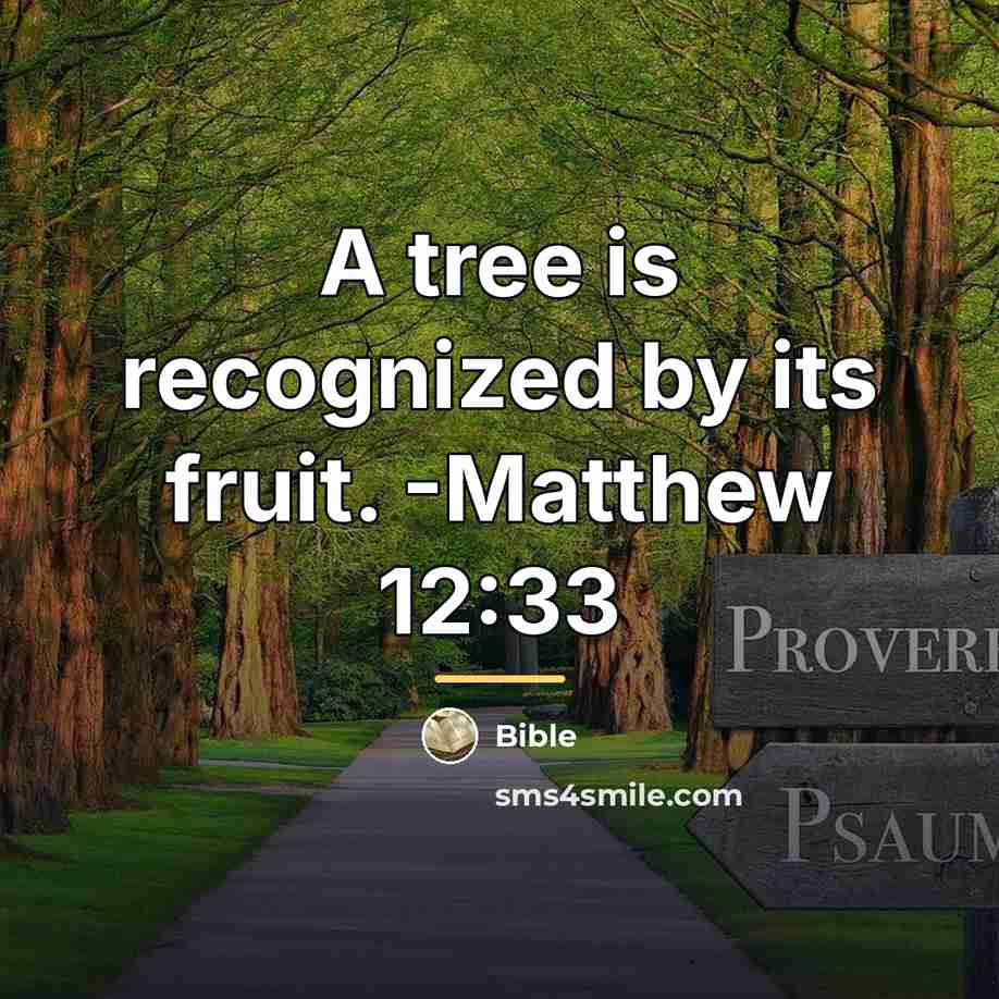 “A tree is recognized by its fruit. -Matthew 12:33…” quote by Bible