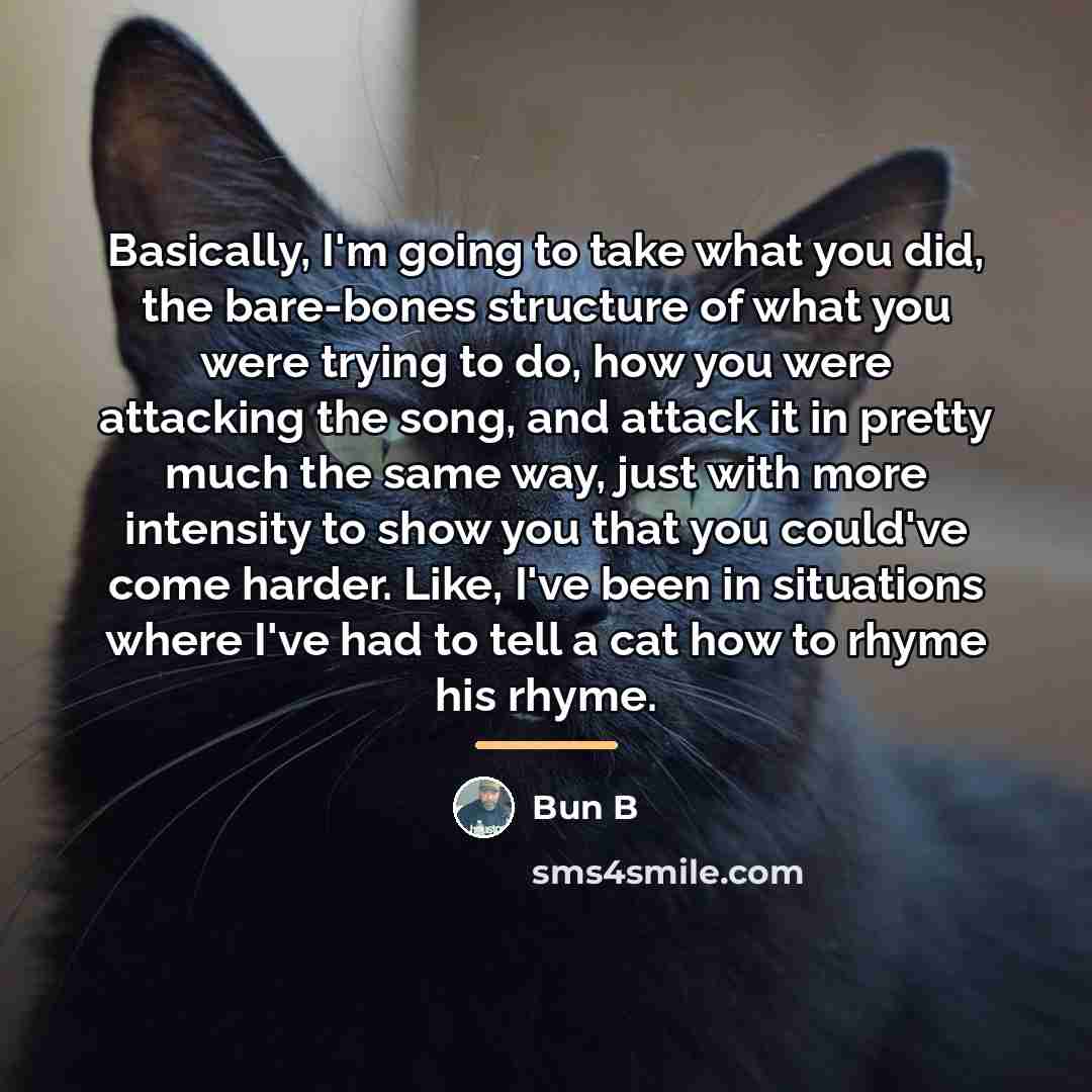 “Basically, I'm going to take what you did, the bare-bones…” quote by Bun B