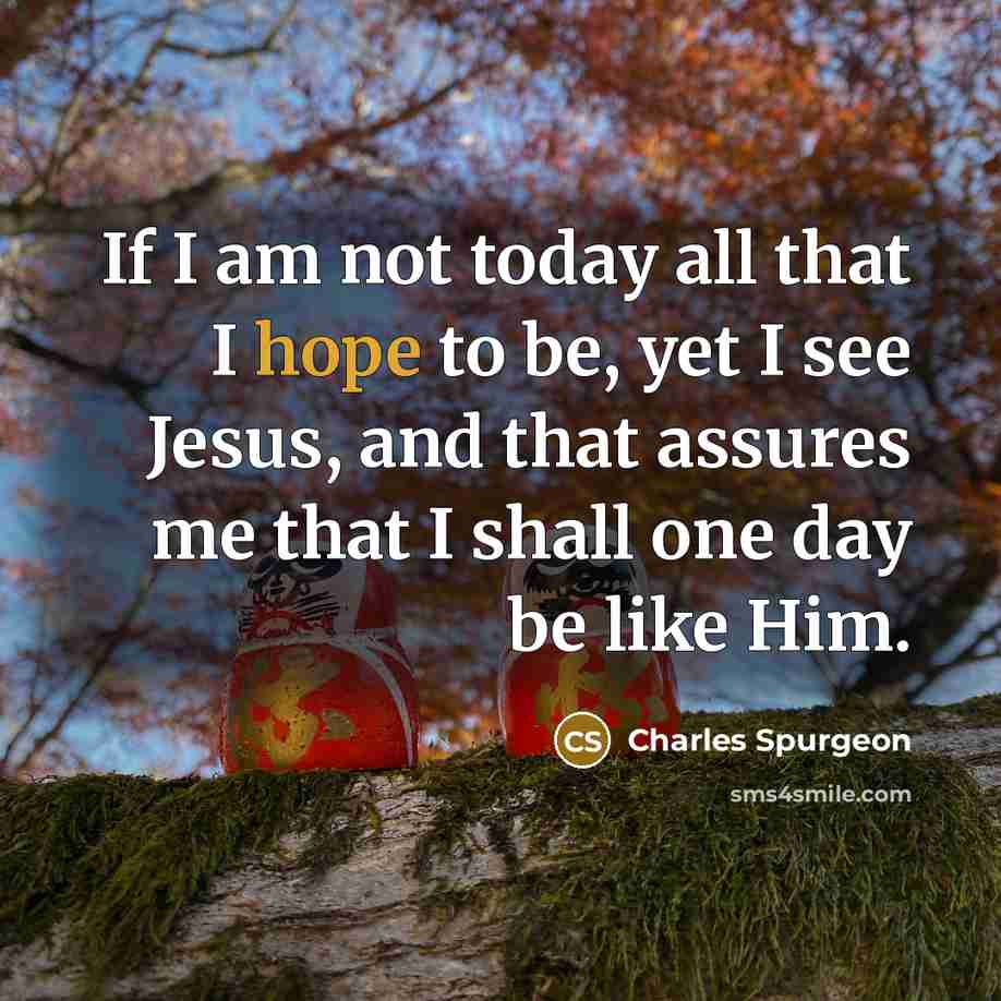 “If I am not today all that I hope to be, yet I see Jesus, and that assures me that I shall one day be like Him.” quote by Charles Spurgeon