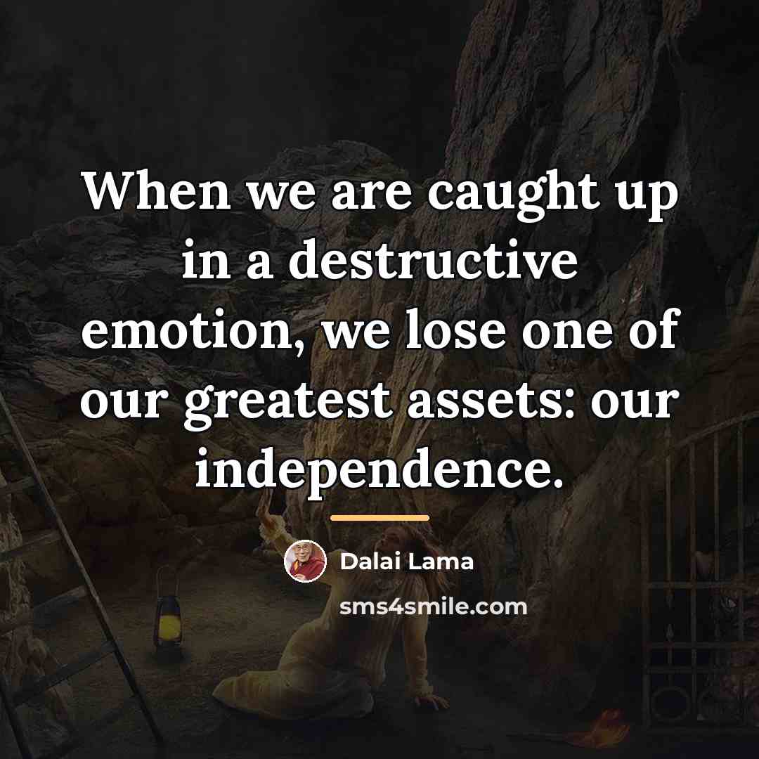 “When we are caught up in a destructive emotion, we…” quote by Dalai Lama