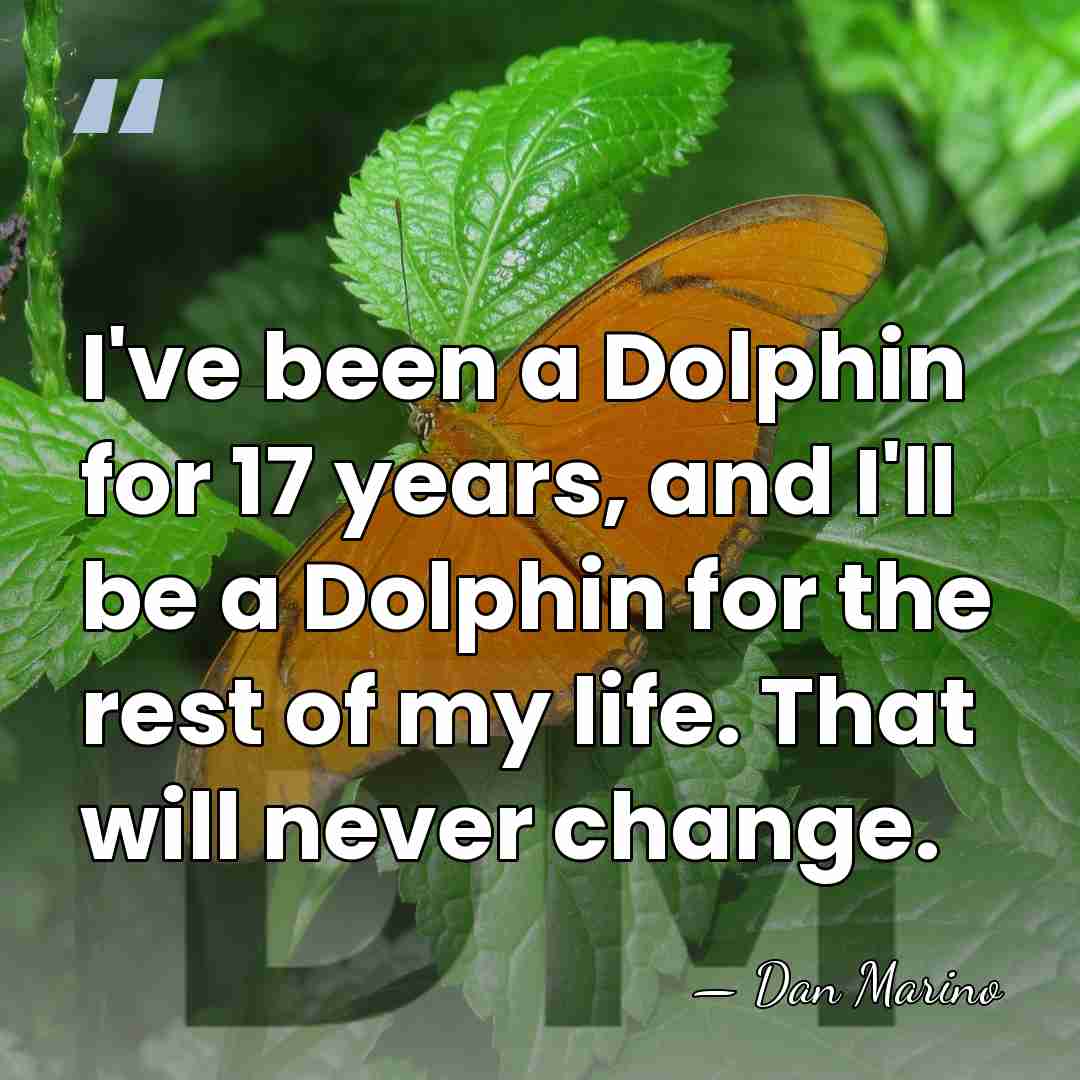 I've been a Dolphin for 17 years, and I'll be a Dolphin&hellip; - Dan Marino