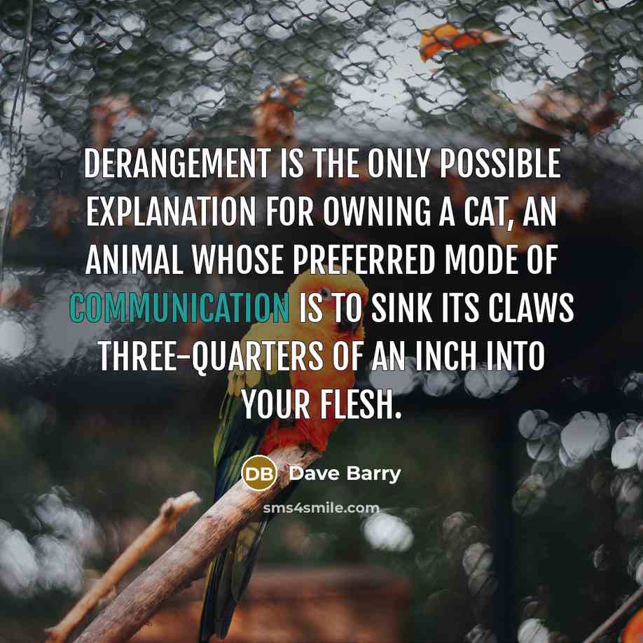 “Derangement is the only possible explanation for owning a cat,…” quote by Dave Barry