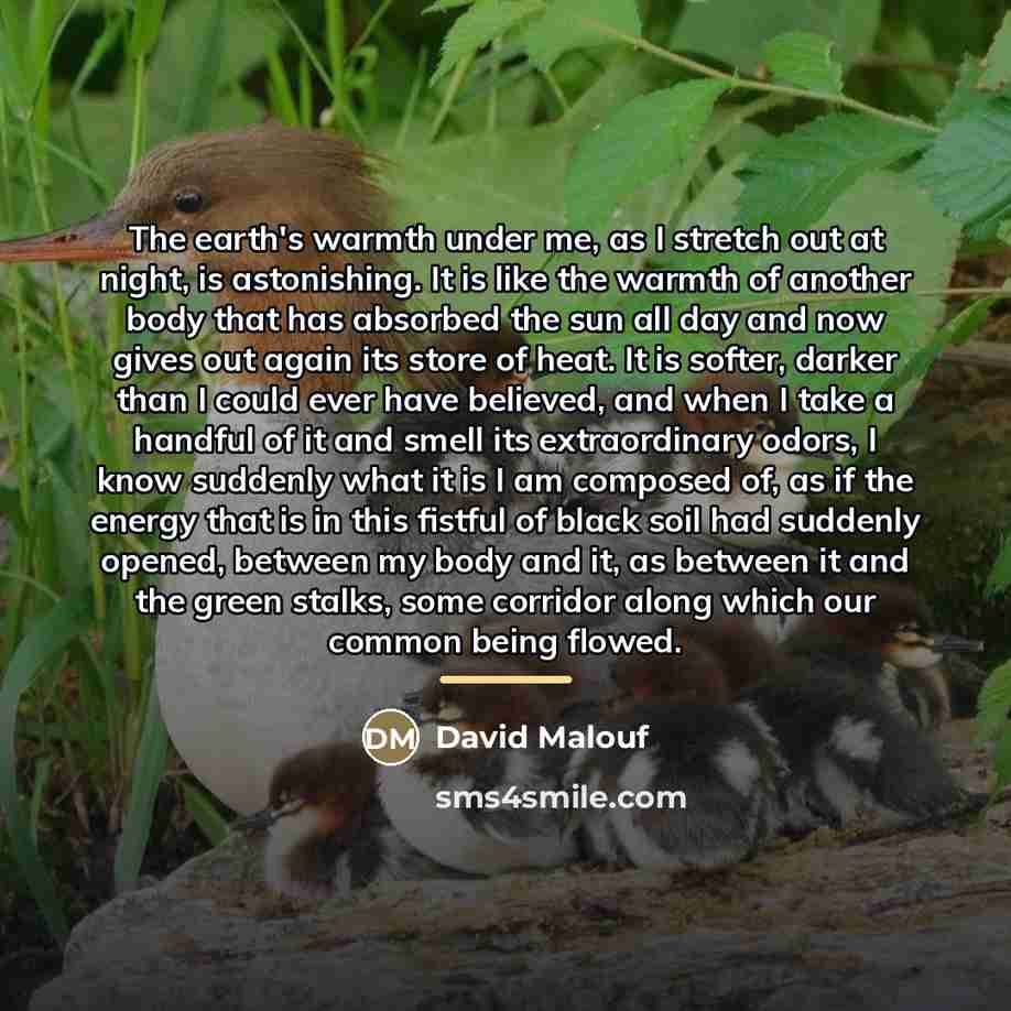 “The earth's warmth under me, as I stretch out at…” quote by David Malouf