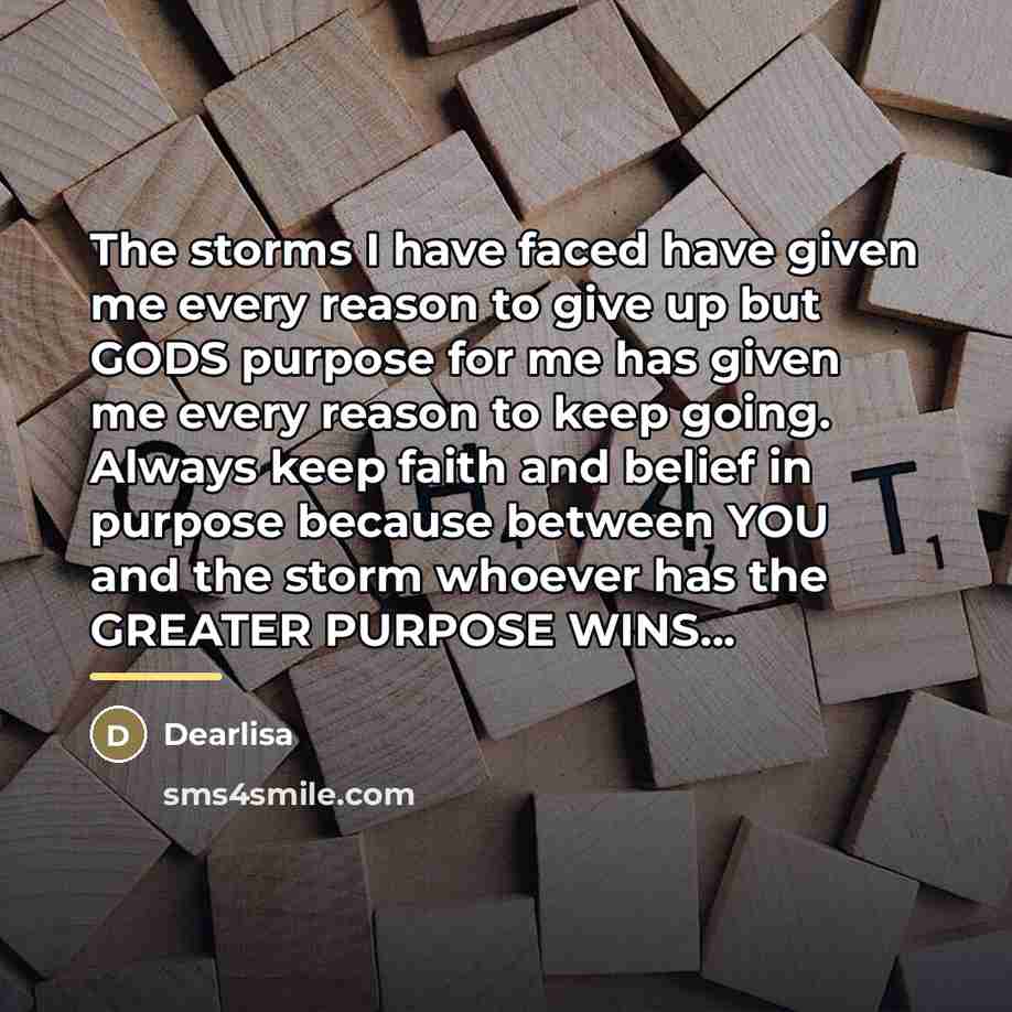 “The storms I have faced have given me every reason…” quote by Dearlisa