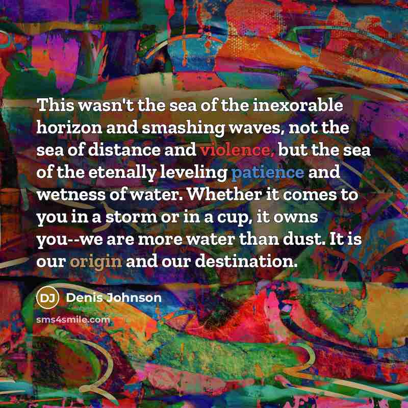 “This wasn't the sea of the inexorable horizon and smashing…” quote by Denis Johnson