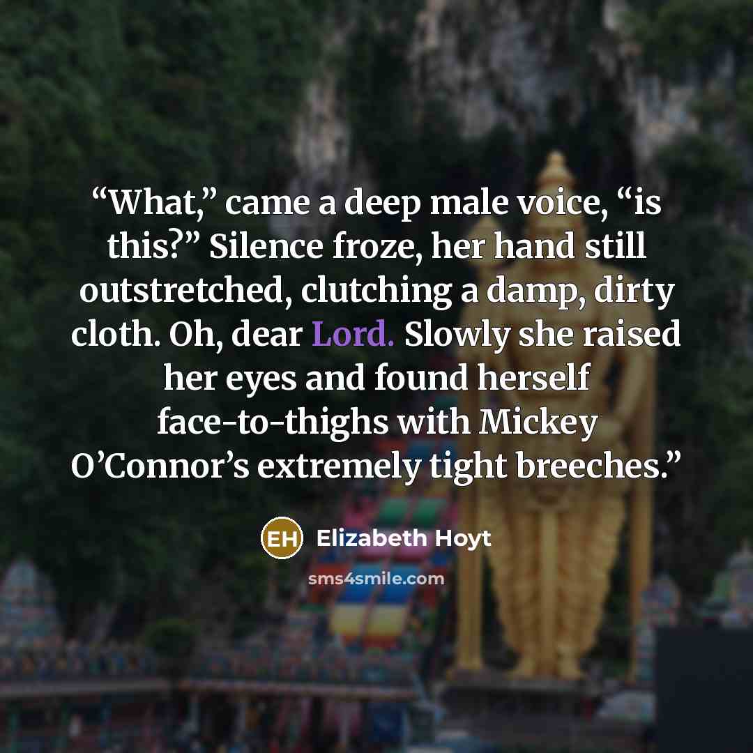 “What,” came a deep male voice, “is this?” Silence froze, her hand still outstretched, clutching a damp, dirty cloth. Oh, dear Lord. Slowly she raised her eyes and found herself face-to-thighs with Mickey O’Connor’s extremely tight breeches.” quote by Elizabeth Hoyt