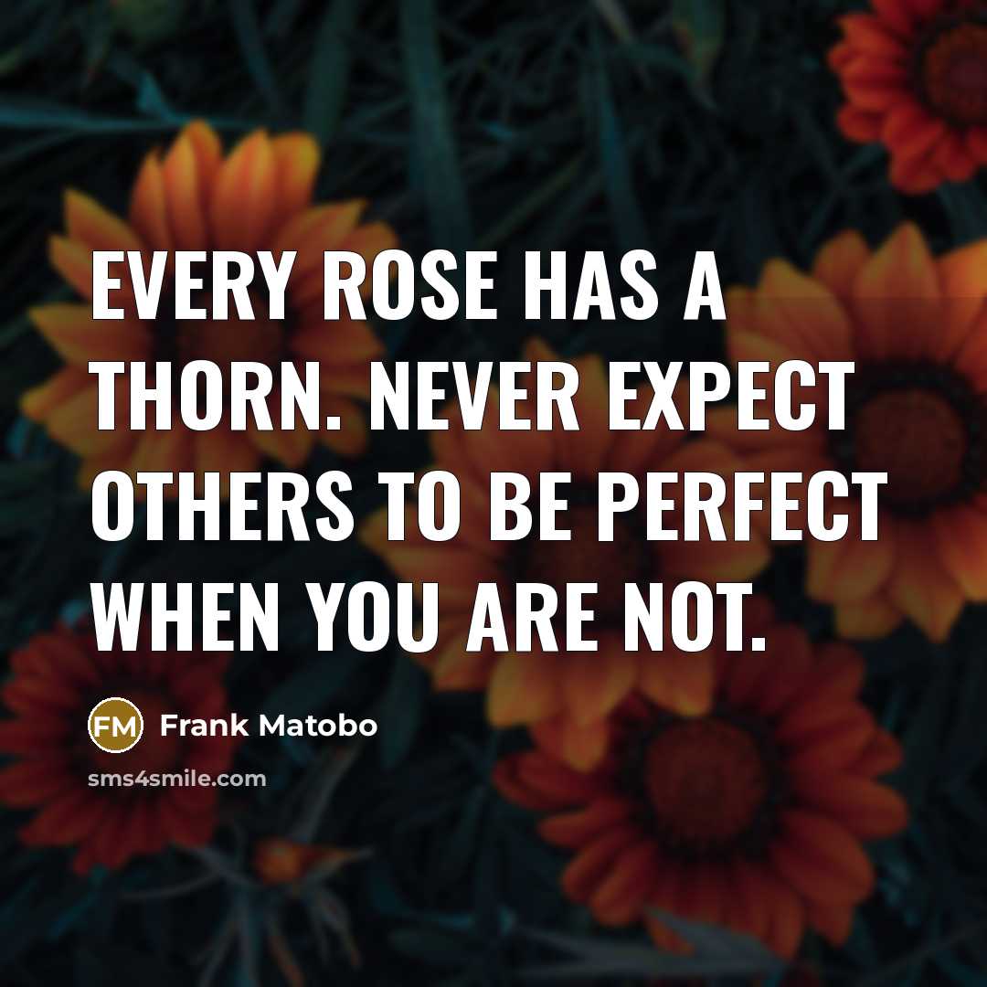 “Every rose has a thorn. Never expect others to be perfect when you are not.” quote by Frank Matobo