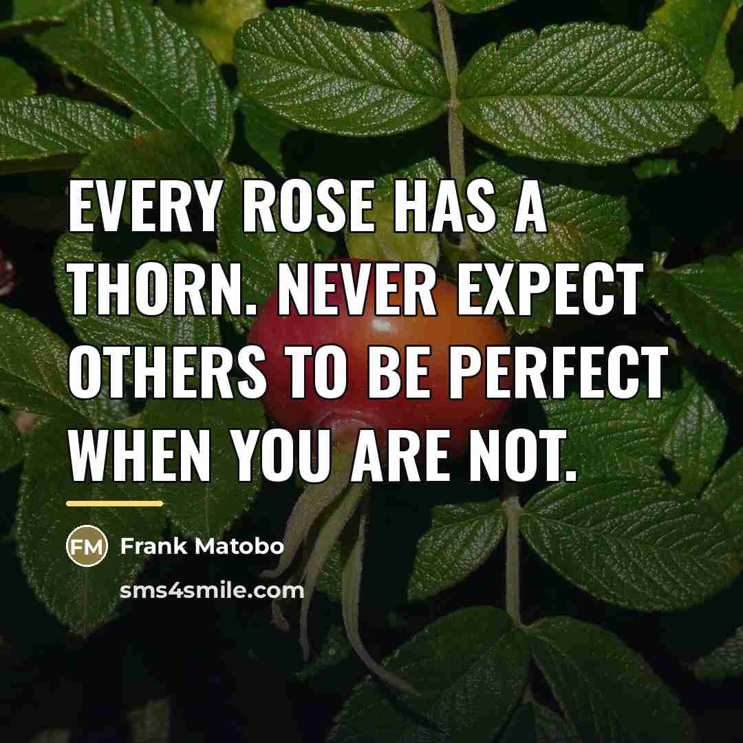 “Every rose has a thorn. Never expect others to be…” quote by Frank Matobo