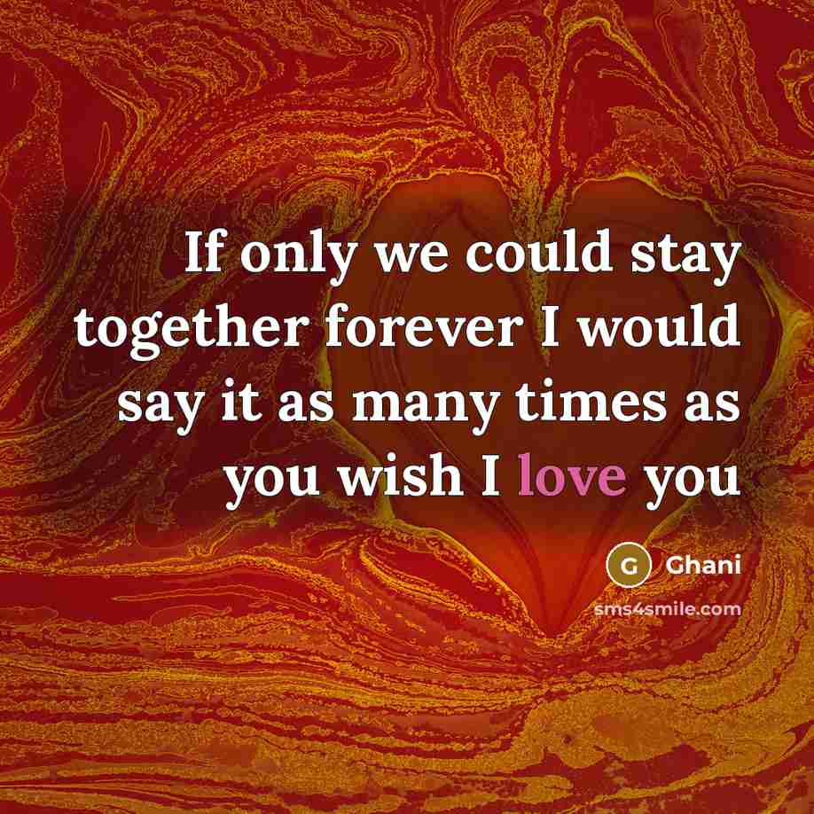 “If only we could stay together forever I would say it as many times as you wish I love you” quote by Ghani