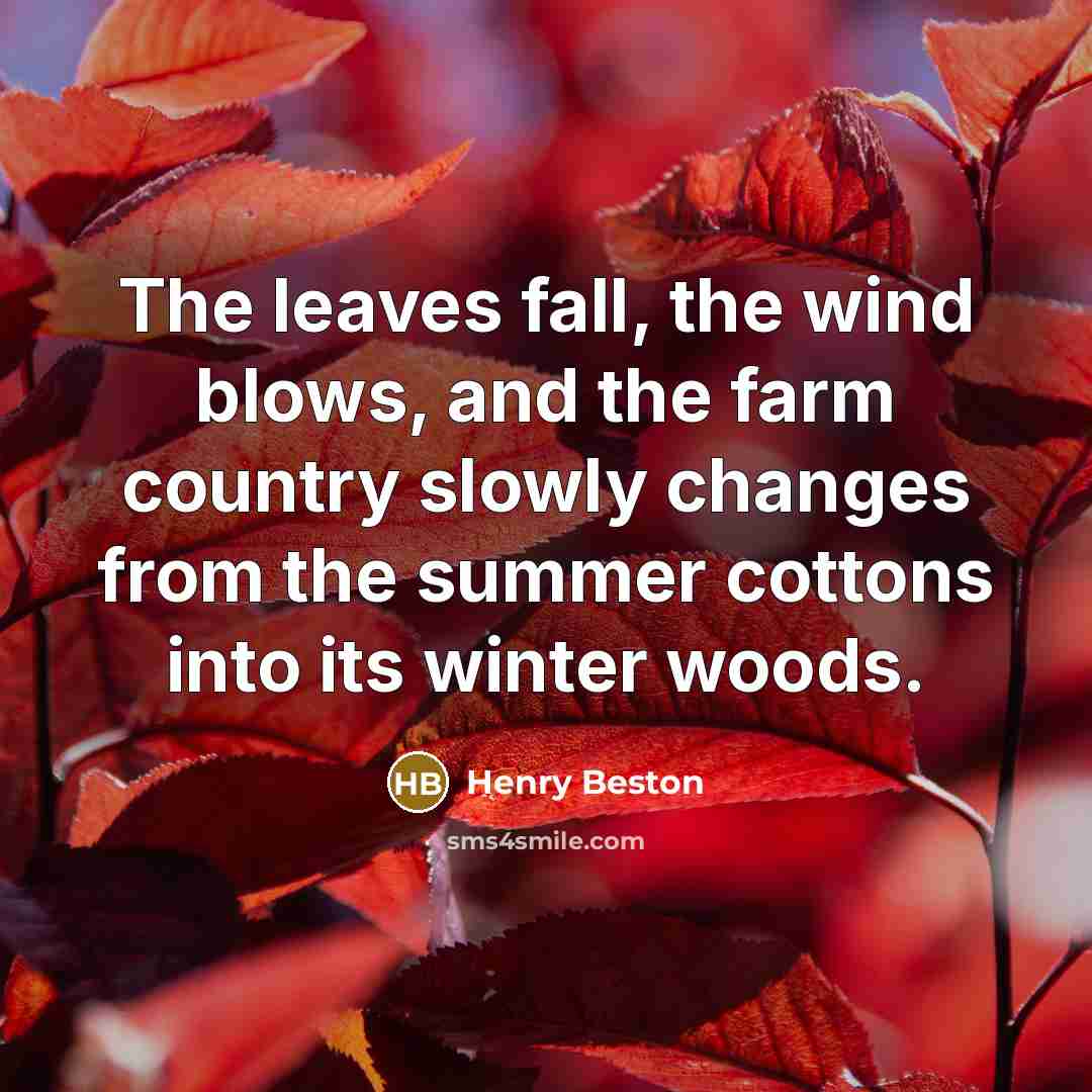 “The leaves fall, the wind blows, and the farm country…” quote by Henry Beston