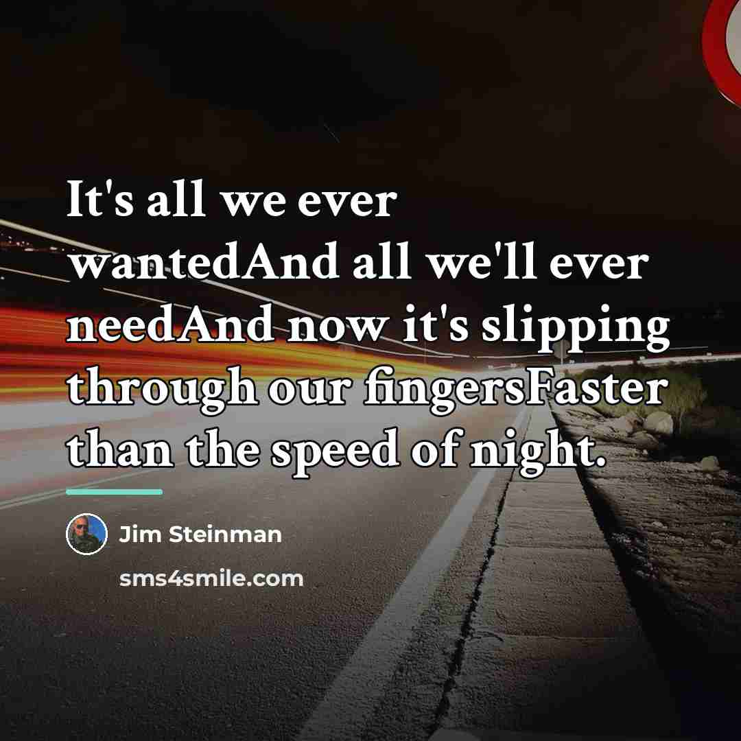 “It's all we ever wantedAnd all we'll ever needAnd now…” quote by Jim Steinman