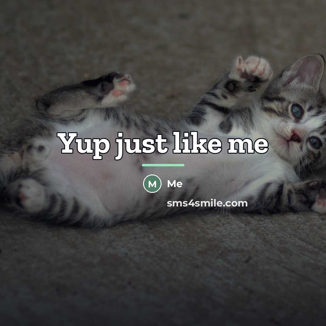 “Yup just like me…” quote by Me