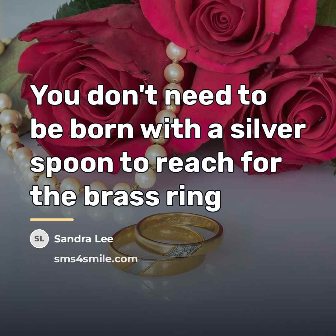 “You don't need to be born with a silver spoon…” quote by Sandra Lee