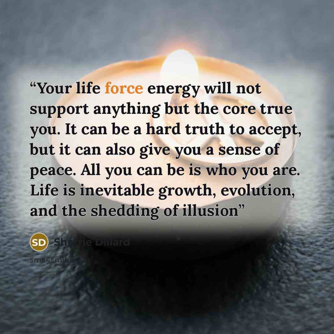 “Your life force energy will not support anything but the core true you. It can be a hard truth to accept, but it can also give you a sense of peace. All you can be is who you are. Life is inevitable growth, evolution, and the shedding of illusion” quote by Sherrie Dillard