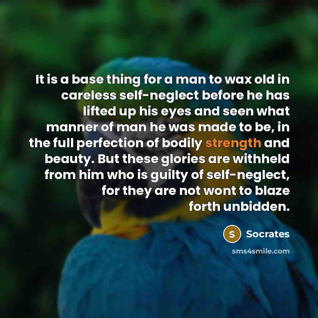 “It is a base thing for a man to wax…” quote by Socrates